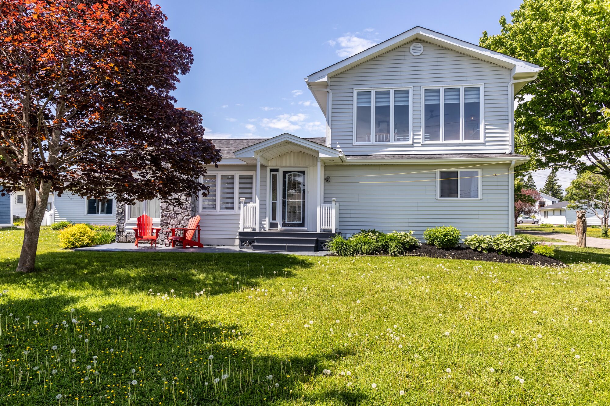 The front of The Cape House on a summer afternoon, framed by a flowering Japanese maple and red Adirondack chairs.